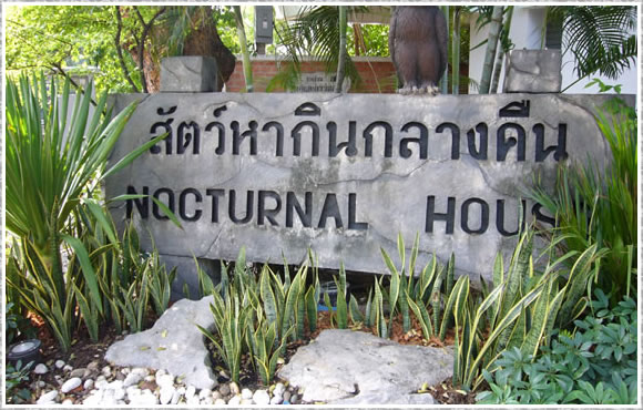 nocturnal house